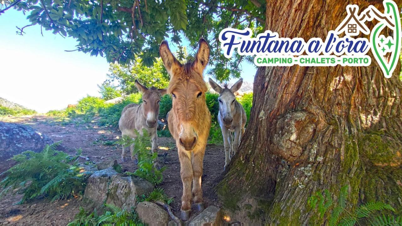 Funtana A L'Ora Porto (Corsica) Exterior foto