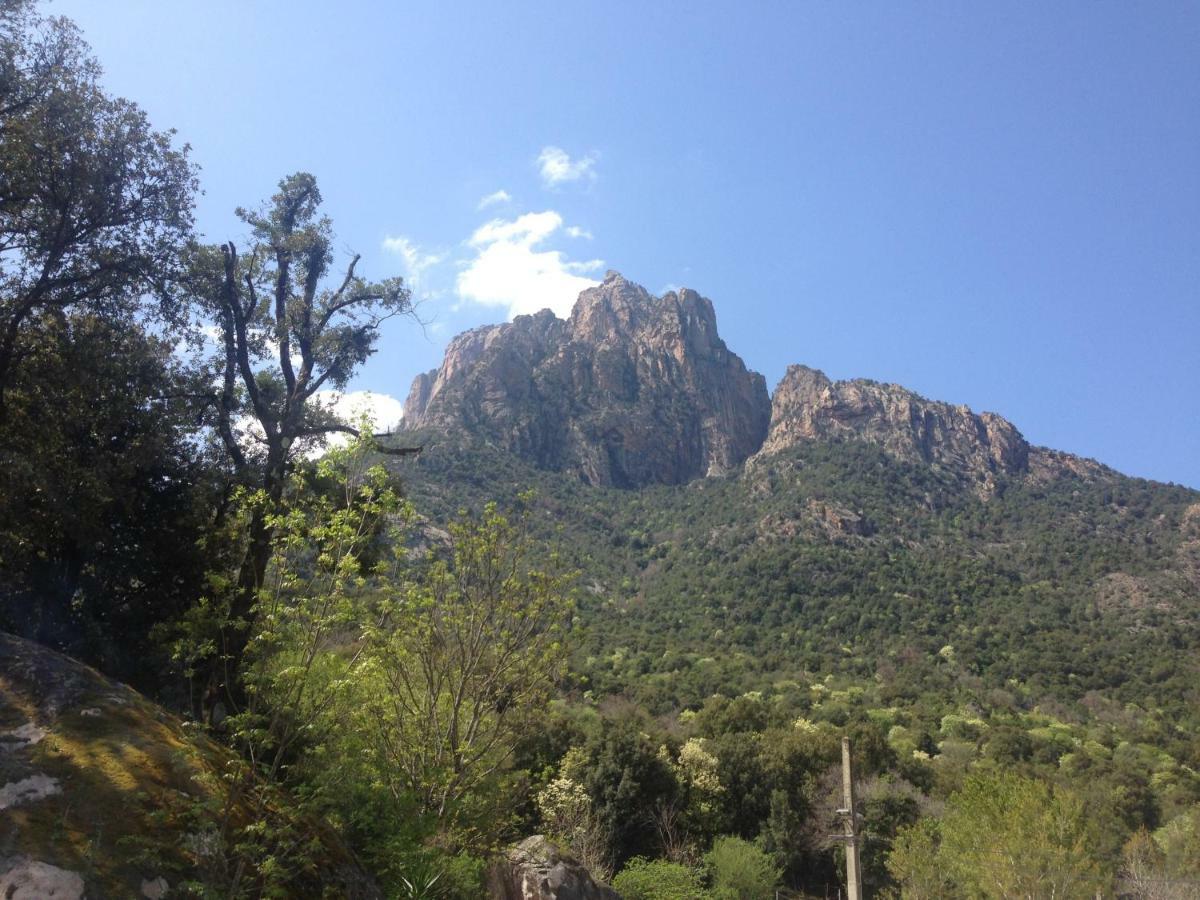 Funtana A L'Ora Porto (Corsica) Exterior foto